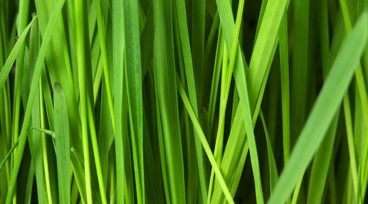 You Are Not Broken: How Energy Healing Helps You Reclaim Your Wholeness